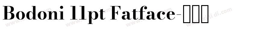 Bodoni 11pt Fatface字体转换